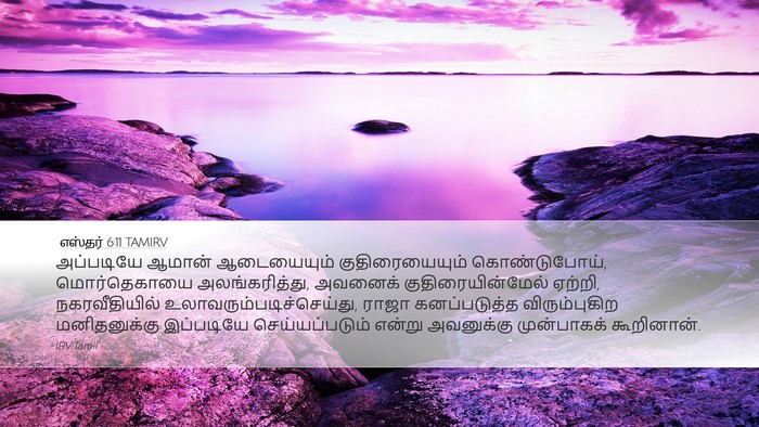 எஸ்தர் 6:11 TAMIRV Bible Verse Image