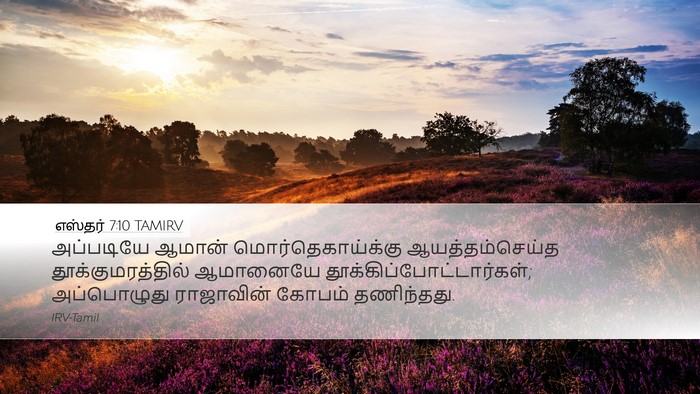 எஸ்தர் 7:10 TAMIRV Bible Verse Image