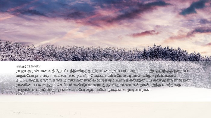 எஸ்தர் 7:8 TAMIRV Bible Verse Image