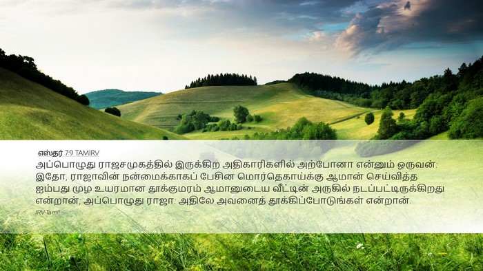 எஸ்தர் 7:9 TAMIRV Bible Verse Image