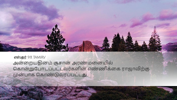 எஸ்தர் 9:11 TAMIRV Desktop Wallpaper - அன்றையதினம் - Desktop Bible Verse Wallpaper