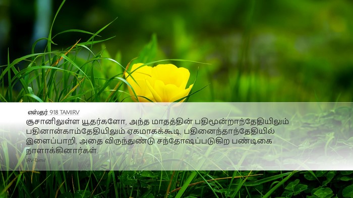 எஸ்தர் 9:18 TAMIRV Bible Verse Image