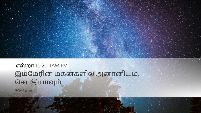 எஸ்றா 10:20 TAMIRV Desktop Wallpaper - இம்மேரின் - Desktop Bible Verse Wallpaper