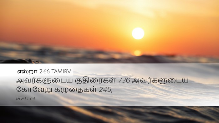 எஸ்றா 2:66 TAMIRV Bible Verse Image