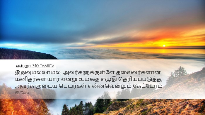 எஸ்றா 5:10 TAMIRV Desktop Wallpaper - இதுவுமல்லாமல், - Desktop Bible Verse Wallpaper