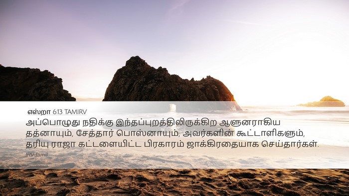 எஸ்றா 6:13 TAMIRV Bible Verse Image