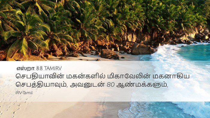 எஸ்றா 8:8 TAMIRV Bible Verse Image