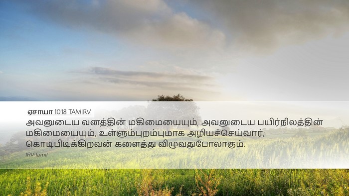 ஏசாயா 10:18 TAMIRV Bible Verse Image