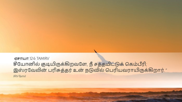 ஏசாயா 12:6 TAMIRV Bible Verse Image