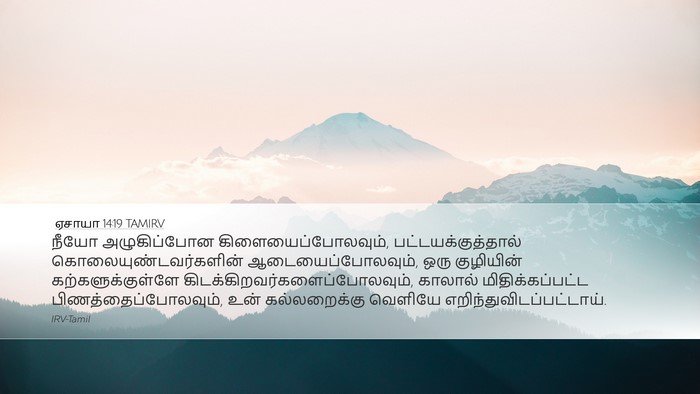 ஏசாயா 14:19 TAMIRV Bible Verse Image