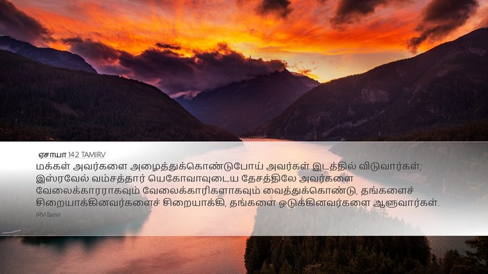 ஏசாயா 14:2 TAMIRV Bible Verse Image