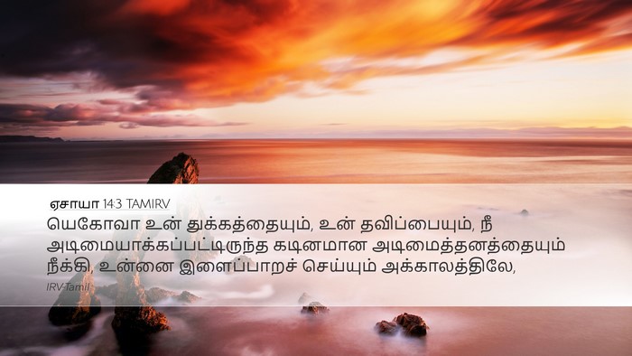 ஏசாயா 14:3 TAMIRV Bible Verse Image