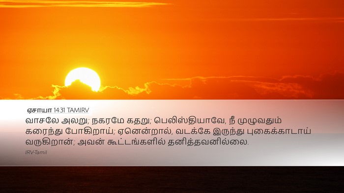 ஏசாயா 14:31 TAMIRV Bible Verse Image