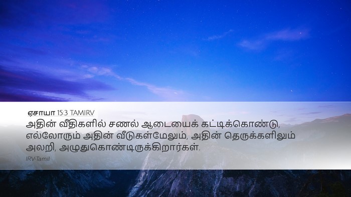 ஏசாயா 15:3 TAMIRV Bible Verse Image