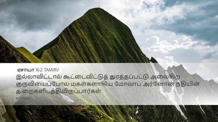 ஏசாயா 16:2 TAMIRV Bible Verse Image