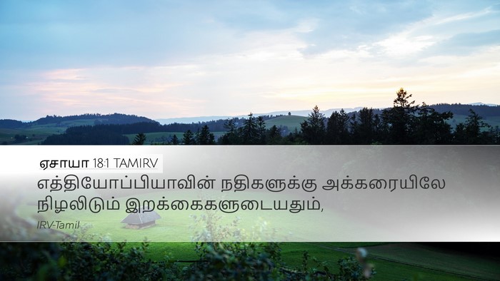 ஏசாயா 18:1 TAMIRV Bible Verse Image