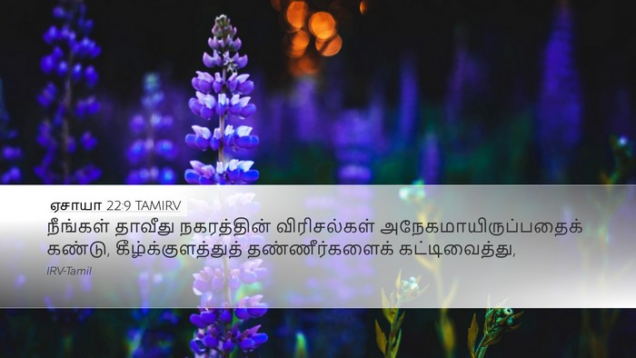 ஏசாயா 22:9 TAMIRV Bible Verse Image