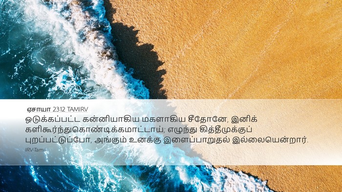 ஏசாயா 23:12 TAMIRV Bible Verse Image