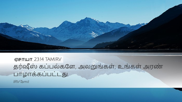 ஏசாயா 23:14 TAMIRV Bible Verse Image