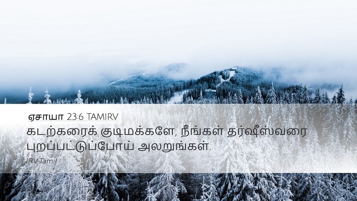 ஏசாயா 23:6 TAMIRV Bible Verse Image