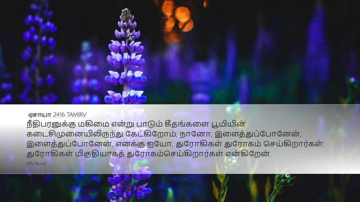 ஏசாயா 24:16 TAMIRV Bible Verse Image