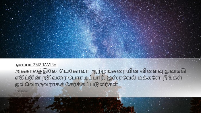 ஏசாயா 27:12 TAMIRV Bible Verse Image