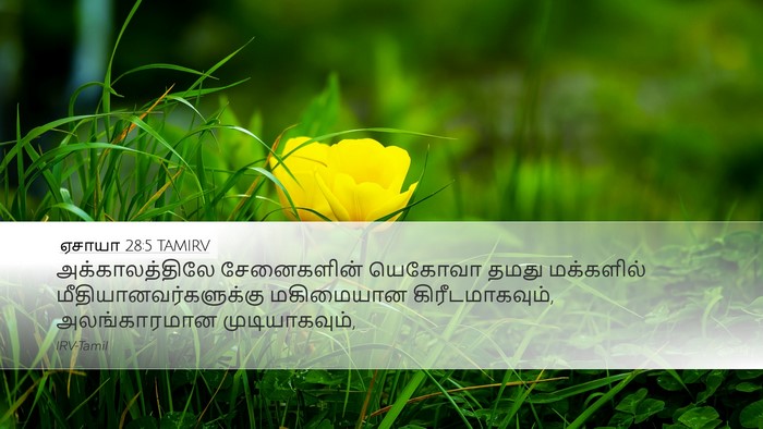 ஏசாயா 28:5 TAMIRV Bible Verse Image