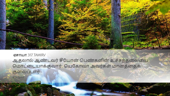 ஏசாயா 3:17 TAMIRV Bible Verse Image