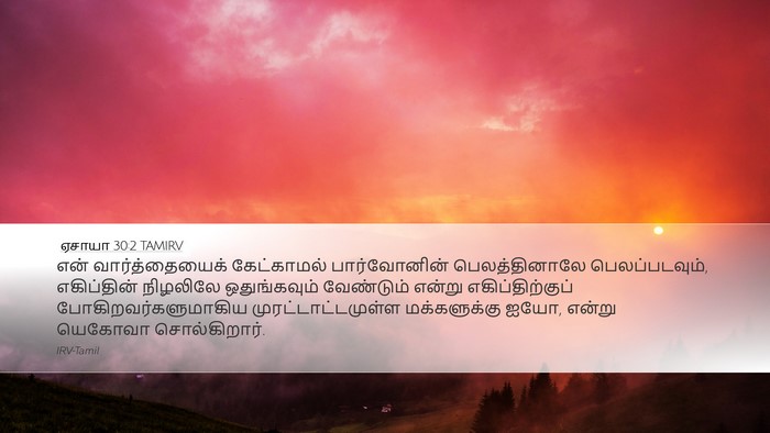 ஏசாயா 30:2 TAMIRV Bible Verse Image