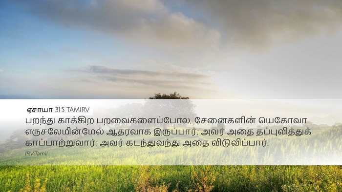 ஏசாயா 31:5 TAMIRV Bible Verse Image
