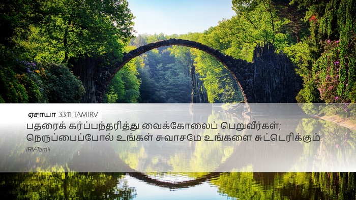ஏசாயா 33:11 TAMIRV Bible Verse Image