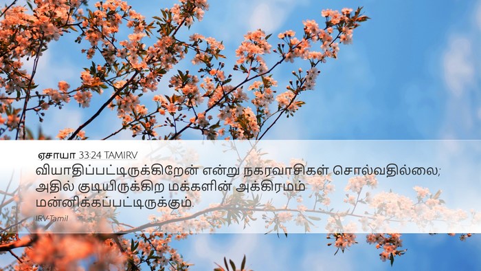 ஏசாயா 33:24 TAMIRV Desktop Wallpaper -  - Desktop Bible Verse Wallpaper
