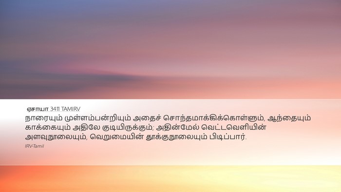 ஏசாயா 34:11 TAMIRV Bible Verse Image