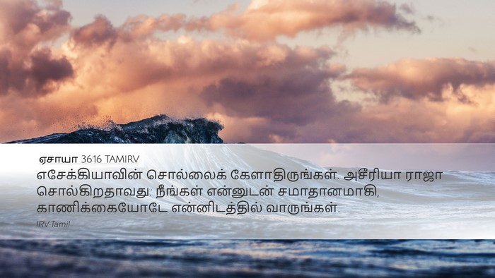 ஏசாயா 36:16 TAMIRV Bible Verse Image