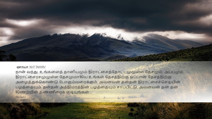 ஏசாயா 36:17 TAMIRV Desktop Wallpaper - நான் வந்து, - Desktop Bible Verse Wallpaper