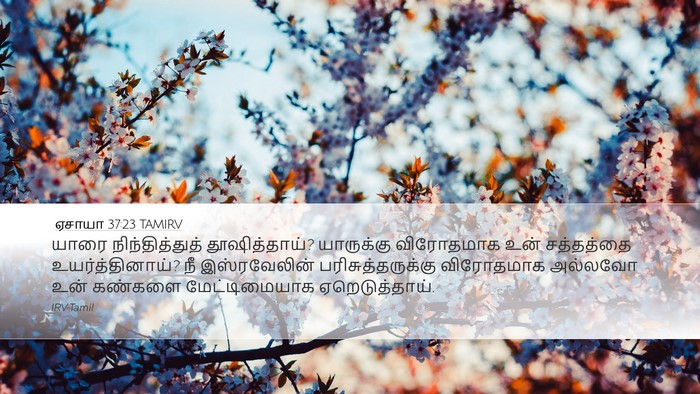 ஏசாயா 37:23 TAMIRV Bible Verse Image
