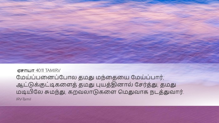 ஏசாயா 40:11 TAMIRV Bible Verse Image