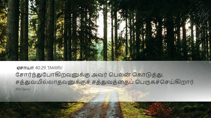 ஏசாயா 40:29 TAMIRV Desktop Wallpaper -  - Desktop Bible Verse Wallpaper
