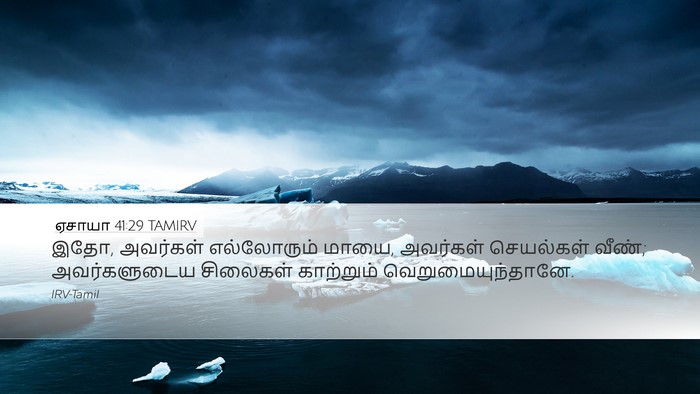ஏசாயா 41:29 TAMIRV Bible Verse Image