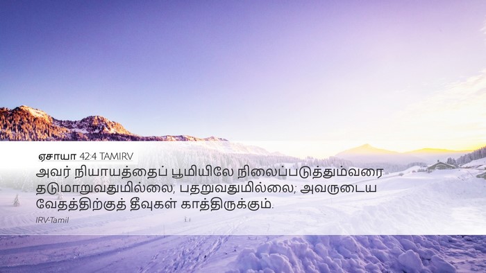 ஏசாயா 42:4 TAMIRV Bible Verse Image