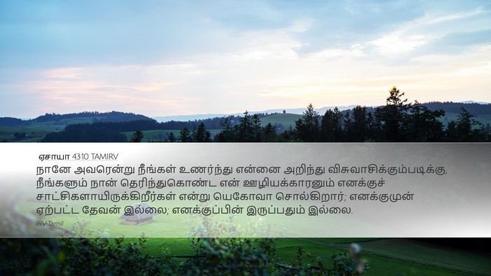 ஏசாயா 43:10 TAMIRV Bible Verse Image
