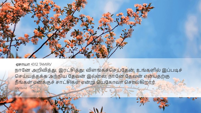 ஏசாயா 43:12 TAMIRV Bible Verse Image