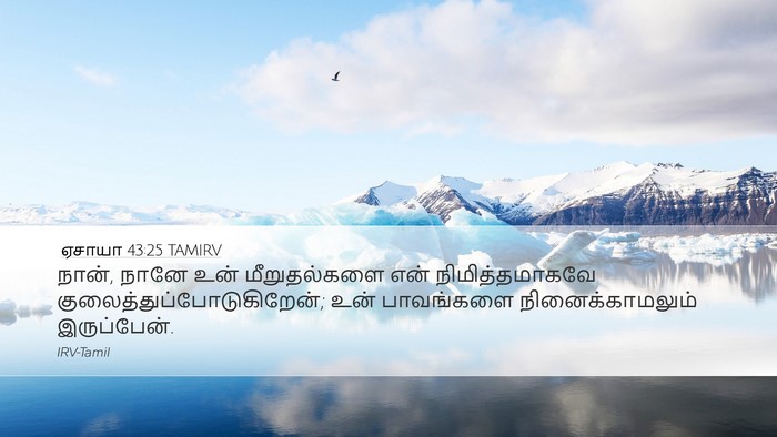 ஏசாயா 43:25 TAMIRV Bible Verse Image