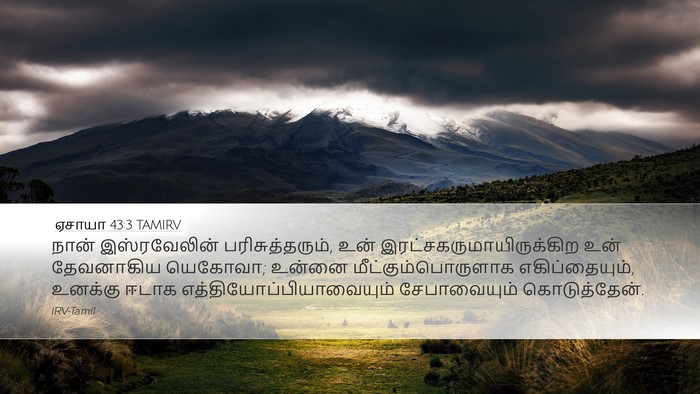 ஏசாயா 43:3 TAMIRV Bible Verse Image
