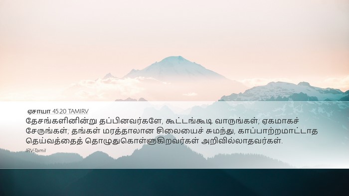ஏசாயா 45:20 TAMIRV Bible Verse Image