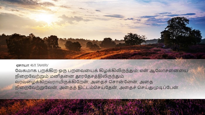 ஏசாயா 46:11 TAMIRV Bible Verse Image