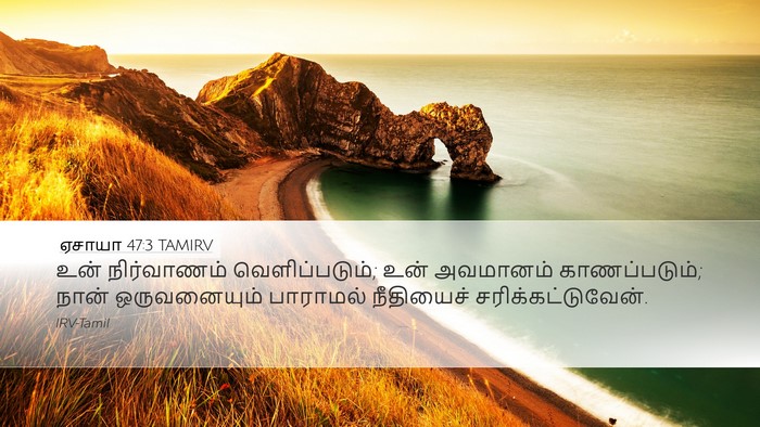ஏசாயா 47:3 TAMIRV Bible Verse Image