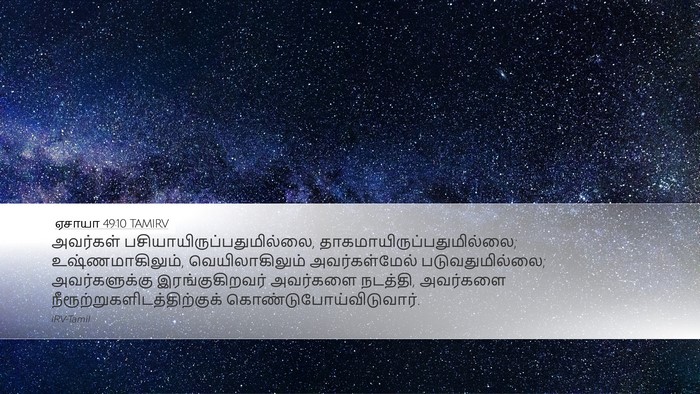 ஏசாயா 49:10 TAMIRV Bible Verse Image