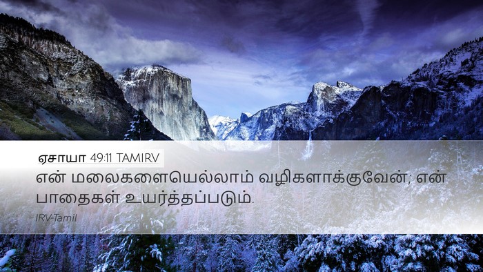 ஏசாயா 49:11 TAMIRV Bible Verse Image