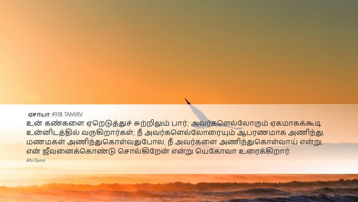 ஏசாயா 49:18 TAMIRV Bible Verse Image